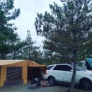 쥬라기카라반 이미지