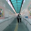 범천2동-12 이미지