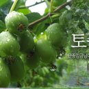 다래민박 이미지