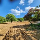 달천펜션 이미지