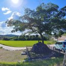 박산리 작약골 쌍탑제 이미지