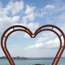 소박한바당쉼터 이미지