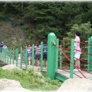 수강약국 이미지