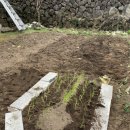 제주안안민박 이미지