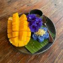 🇹🇭 치앙마이 여행기 (2)