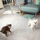 천동로선우가