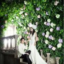 스튜디오 동화 이미지