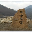 대송조경