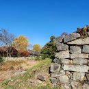 남포초등학교 | 보령 남포읍성(保寧 藍浦邑城).충남