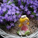 바구니농원 이미지