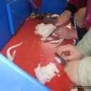 용호동 섶자리 이미지