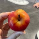 서윤목욕탕 | 난 영원히 널 이 기억에서 만나