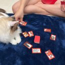 삼부자탕(삼부자갈비) 화장실 | 죽지도 않고 돌아온 줌마의 일상