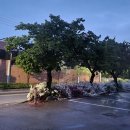 신철원감리교회 이미지