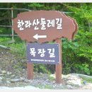 한라산둘레길 사려니숲길 이미지