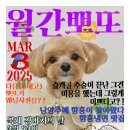 월간뽀또 2023-03