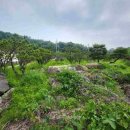 여주-0773 Daum카페