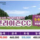 포라이즌 티스토리