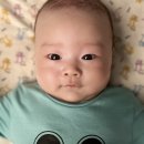 THE바리깡 이미지