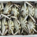 서해냉동 - 서산시 서령로 60 | 서해냉동