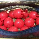 체스(서양장기)지도사 이미지