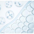 리드성형외과의원 이미지