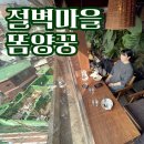 서울 광장시장 동대문역사문화공원역 근처 태국 음식점 창신동 밀림에서 먹은 똠양꿍 게살 새우볶음밥...