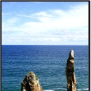 추암촛대바위 Daum카페
