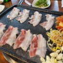 33한돼지 이미지