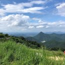 바람이 좋은 저녁 이미지