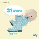 광주084 | [임신 일기] 31주 ~ 36주/하기스 허그 박스 신청/아기 손수건, 용품, 옷 세탁/맘마존 수납장 추천/막달검사