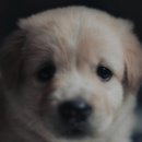 한결동물의료센터 이미지