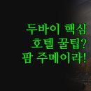 태양컴퓨터클리닝 | 두바이 팜 주메이라 호텔 비교 | 가성비부터 럭셔리까지 여행 목적별 추천 | 메리어트 힐튼 툼비 핵심...