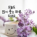 12월 189차 웰빙 송년 힐링 산행 문양 마천산 이미지