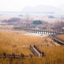 갈대습지공원 이미지