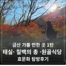 충청남도 금산군 추부면 문화의집 | 충남 금산 가볼만한곳 1탄 태실· 칠백의 총 ·원골식당 효문화 탐방후기