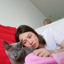 나만 없어 고양이 이미지