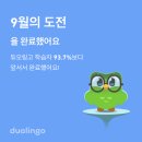 곳온니플레이스 이미지