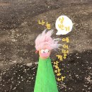 발리 헬스&스쿼시 | 상반기 결산 : 웹소설, 도보배달, 독서, 당근마켓, 에그타르트, 삿포로, 외국인 친구, 테니스, 블로그