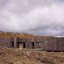 The heartwood 이미지