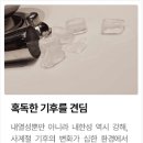 조*만 - 안양시 만안구 장내로 9 | 조*만