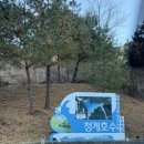 화장숲 | 포천캠핑장 추천 청계호수 자작나무 숲 캠핑장 스파카라반 후기