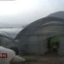 해공로농원