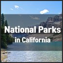 약대공원 이미지