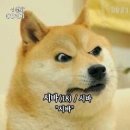 앙 Daum카페