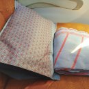 인디아 | 에어인디아 후기 인천 델리 AI313, 기내식, 웹체크인, 인도 입국하기