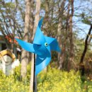 광활초등학교 이미지