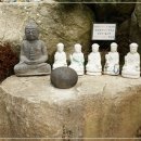 백천사 이미지
