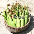 가래울농장 이미지