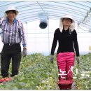 사월1리 이미지